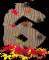 6_mb.gif