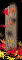 1_mb.gif