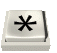 asterik_mc.gif