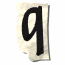 q2_lw.gif