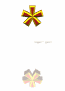 asterisk_lw.gif