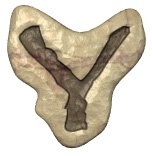 y.jpg