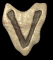 v_mb.gif