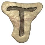 t.jpg