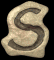 s_mb.gif