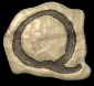 q_lb.gif