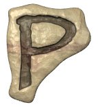 p.jpg