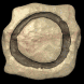 o_lb.gif