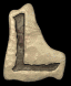 l_lb.gif