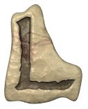 l.jpg
