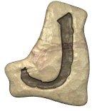 j.jpg