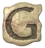 g.jpg