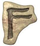 f.jpg