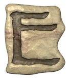 e.jpg