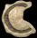 c_sb.gif