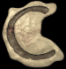 c_lb.gif