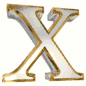 x_silver_lw.gif