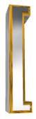 brac_left_silver_hr.jpg