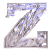 z_mw.gif