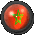 morocco_fb_sc.gif