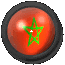 morocco_fb_lc.gif