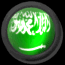 saudi_arabia_fb_lb.gif