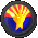 arizona_fb_sc.gif