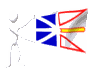 newfoundland_new_mc.gif