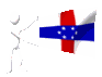 curacaod_mc.gif