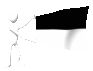 6_mc.gif