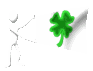 shamrock_white_backgr_a_mc.gif