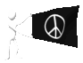 peace_flag_mc.gif