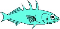 FISHC.WMF