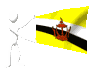 brunei_mc.gif