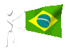brazil_mc.gif