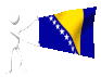 bosnia_herzegovina_mc.gif