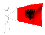albania_mc.gif
