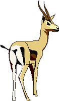 GAZELE.WMF
