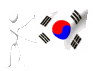 korea_south_mc.gif