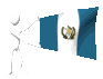 guatemala_mc.gif