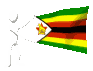 zimbabwe_mc.gif