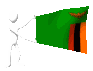 zambia_mc.gif