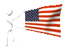 united_states_of_amer_a_mc.gif