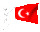 turkey_sc.gif