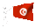 tunisia_sc.gif