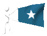 somalia_mc.gif