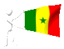 senegal_mc.gif