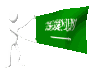 saudi_arabia_mc.gif