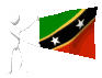 saints_kitts_and_nevis_mc.gif