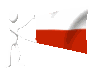 poland_mc.gif